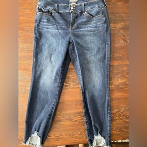 Distressed Jeggings size 18 from Torrid